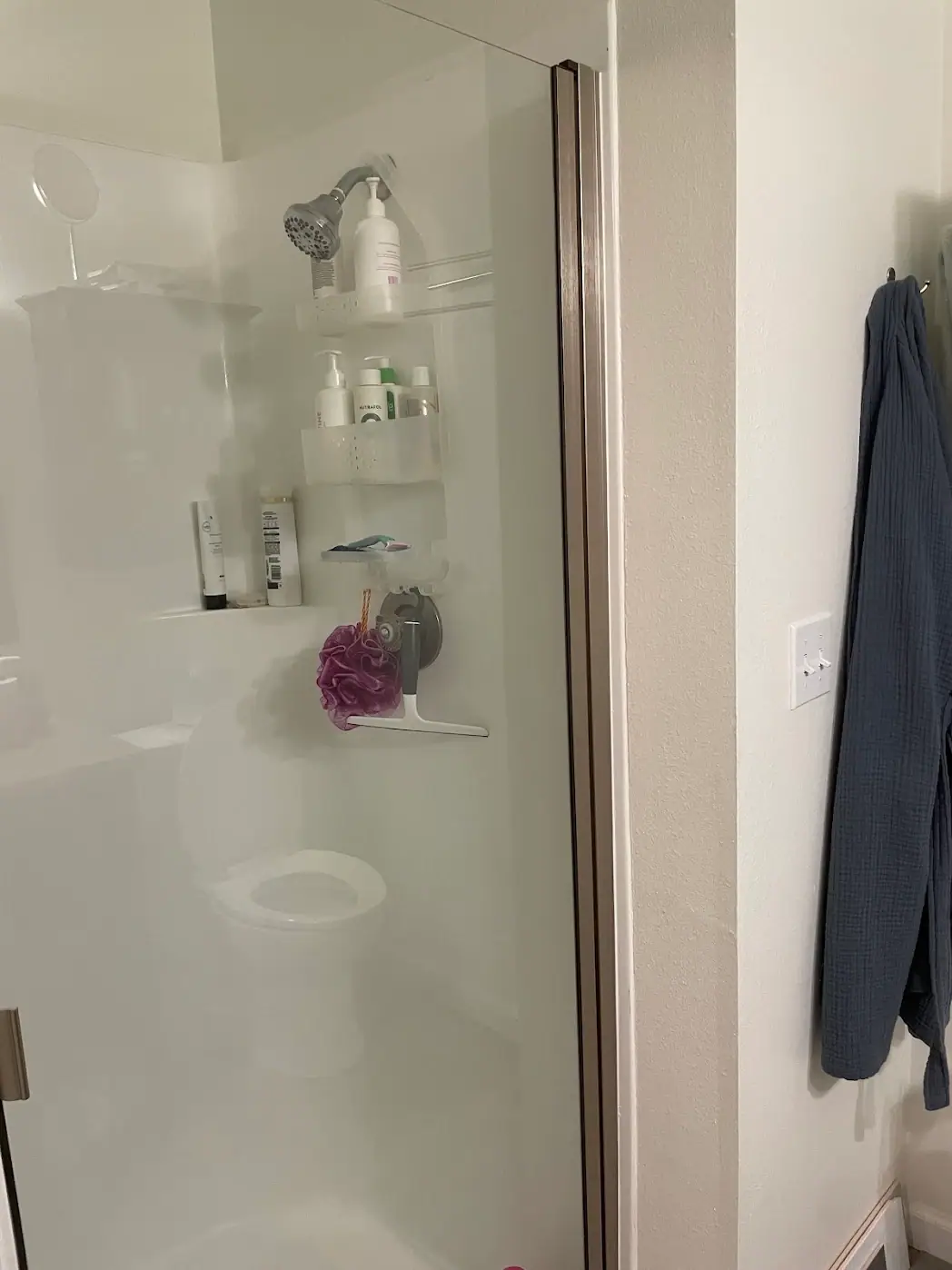 Before the remodel: a one-piece shower surround with a framed glass door