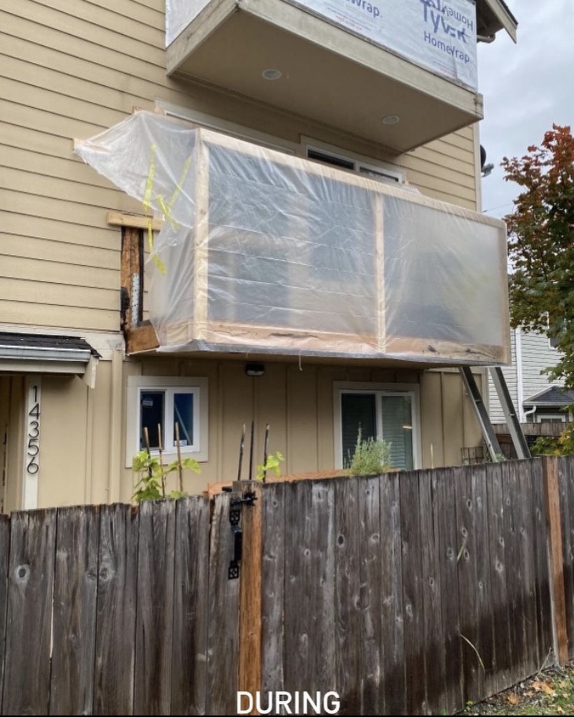 Rot Repair Seattle